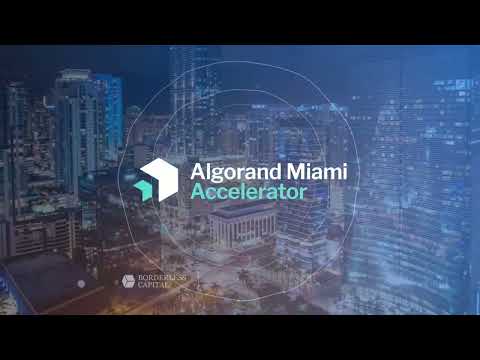 Algorand Miami Accelerator 2021 Experience